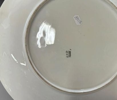 Large decorative porcelain plate painted...