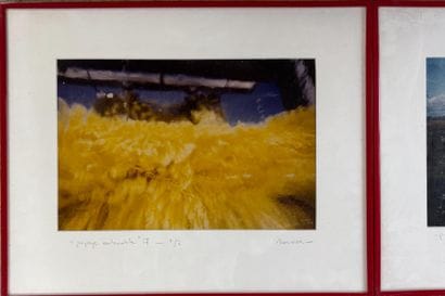 BOURSIER (XXème)
Réunion de trois photographies...