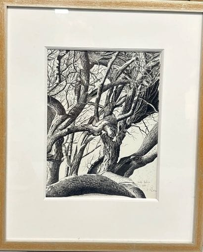 NOELLE PAUHIER (20th)
Tortured forest
Black...