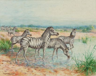 François CASTELLAN (20th century) 
Zebras...
