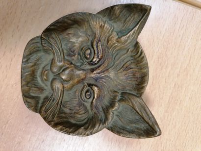 Small cat's head pocket
