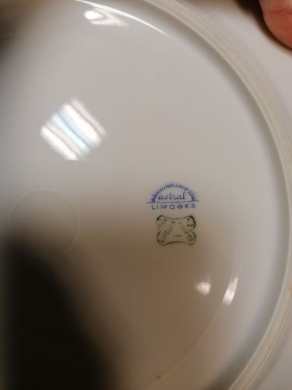 partie de service de table en porcelaine...
