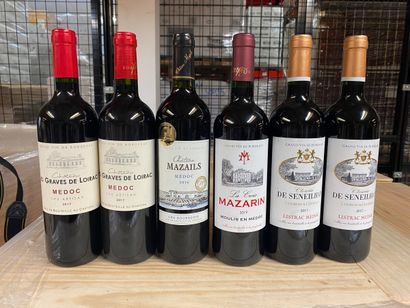 LOT OF 6 BT CPT: 2 cats les Graves de Loirac...