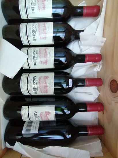 6 bt chateau Armandières 2009 Cahors

ESTIMATE...