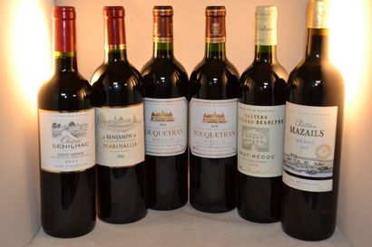 LOT OF 6 BT CPT: 2 cats Bouqueyran 2016 moulis,...