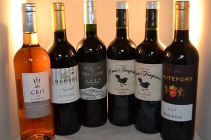 LOT DE 6 BT CPT: 2 chat Haut Fongrive 2016...