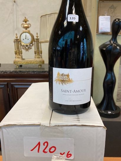6 Magnums Saint Amour 2019 beaujolais

ESTIMATION...