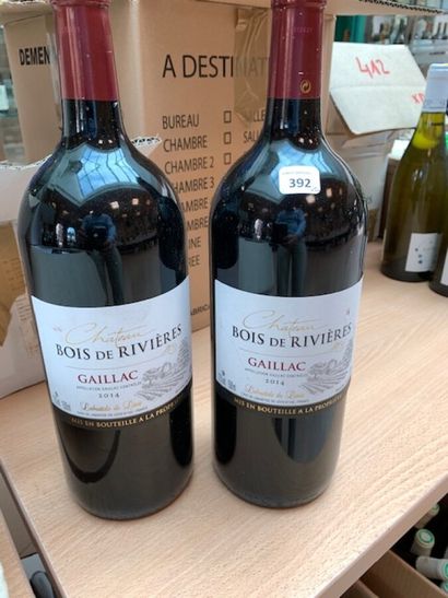 2 Magnums Gaillac chateau de Rivières 2014

ESTIMATE...