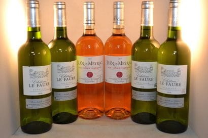 LOT OF 6 bT CPT: 4 Chat le Faure 2018 bord...