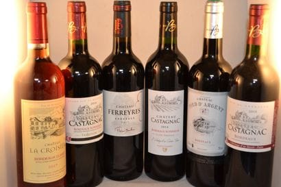 LOT OF 6 BT CPT: 1 Ferreyres cat 2017 edge,...