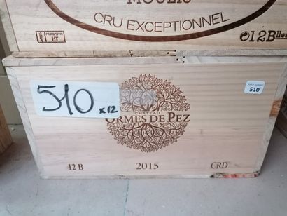 12 bt les Ormes de Pez 2015 Saint-Estèphe...