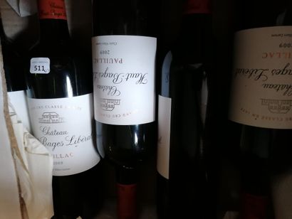 12 bt chateau Haut Bages Liberal 2009 Pauillac

ESTIMATE...