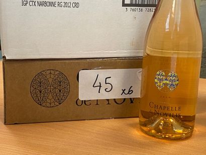 6 bt Chapelle Novilis cuvée Néus 2019 côteaux...
