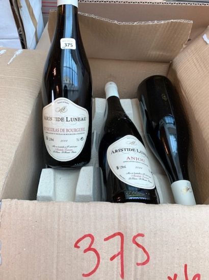 6 bt Saint nicolas de Bourgueuil 2014 Aristide...