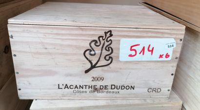 6 bt L'Acanthe de Dulon 2009 Cotes de Bordeaux...