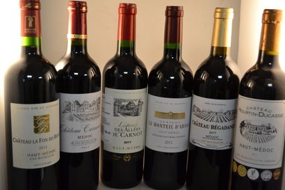 LOT OF 6 BT CPT: 1 cat La Fon du Berger 2012...