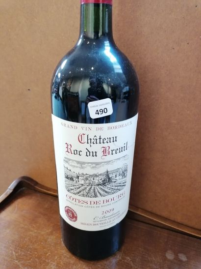 1 Magnum chateau Roc du Breuil 2009 Côtes...