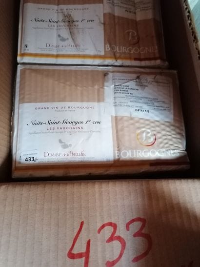 12 bt Nuits Saint Georges 
