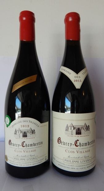 Lot de 1 Magnum Gevrey-Chambertin Clos Village...