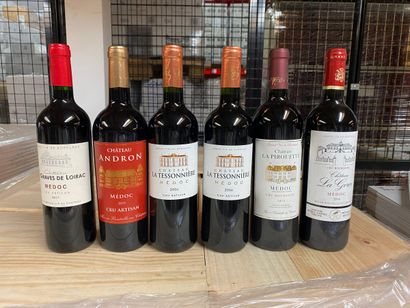 LOT OF 6 BT CPT: 1 cat les Graves de Loirac...