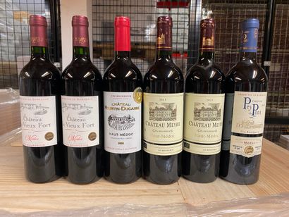 LOT OF 6 BT CPT: 2 cats le Vieux fort 2013...