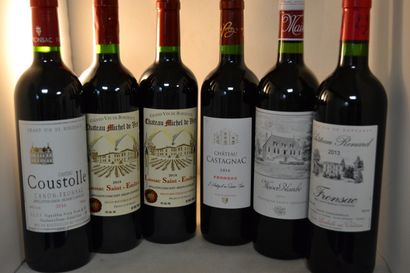 LOT OF 6 BT CPT: 1 Coustolle 2016 Canon Fronsac,...