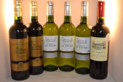 LOT OF 6 BT CPT: 2 cats Lamothe Castera 2017...