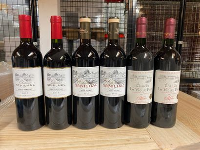 LOT OF 6 BT CPT: 2 cats Senilhac 2017 Haut-Médoc,...