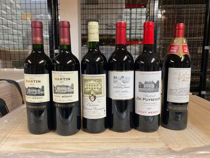 LOT OF 6 BT CPT: 1 cat MArtin 2014, 1 cat...