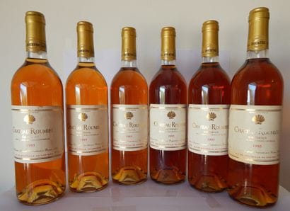 6 chateau Roumieu Sauternes Barsac 1995 

ESTIMATION...