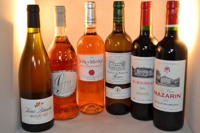 LOT DE 6 BT CPT: 1 la Terre Blanche 2016...