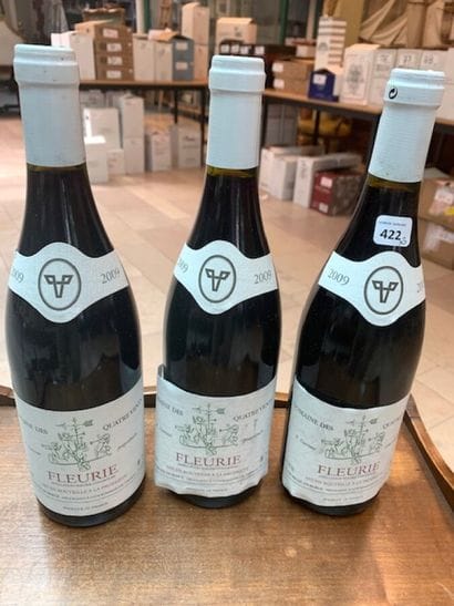 3 bt Fleurie domaine des 4 vents 2009 R....