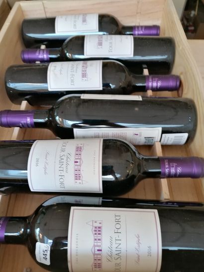 6 bt chateau Tour Saint Fort 2016 cru bourgeois...