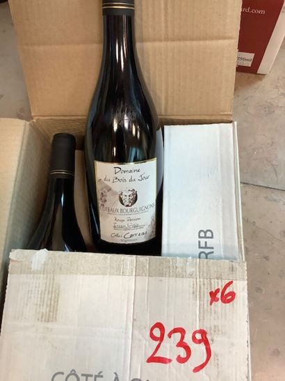 6 bt Côteaux Bourguignon Rouge Passion Terra...