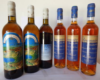 Ensemble de 3 Château Bouscassé Pacherenc...