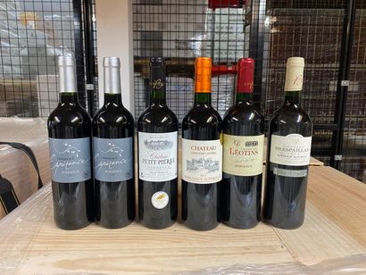 LOT OF 6 BT CPT: 2 cats of Hope 2018 burgundy,...