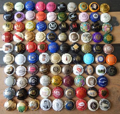 1 Batch of 98 capsules including 1 Amour...