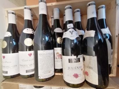 LOT DE 16 BT CPT: 9 Beaujolais villages 2015...