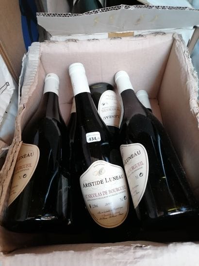 12 bt Saint Nicolas de Bourgueil 2011 Aristide...