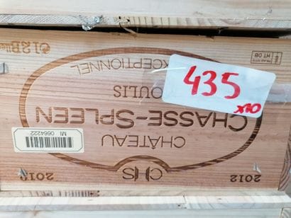 10 bt chateau Chasse Spleen 2016 Moulis

ESTIMATION...