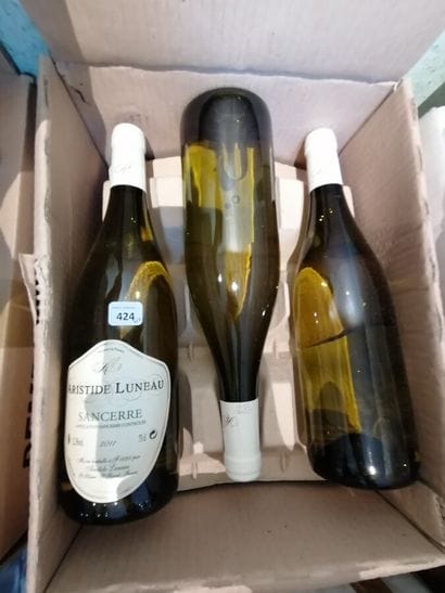 12 bt Sancerre 2011 Aristide Luneau

ESTIMATION...