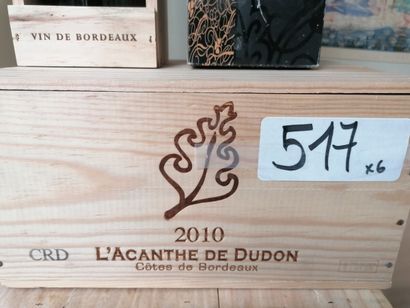 6 bt l'Acanthe de Dulon 2009 côtes de Bordeaux...