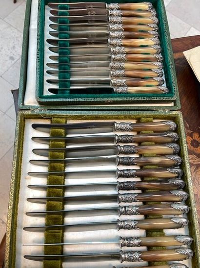 12 grands couteaux manche corne, 12 petits...