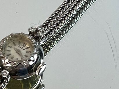 Montre de dame en or blanc ESKA. PB: 20,42...