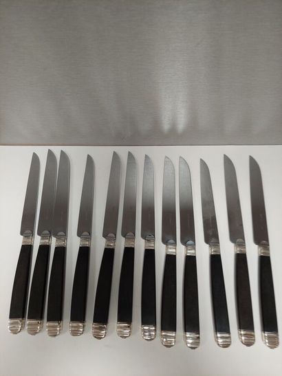 12 couteaux table manches bois lames acier...