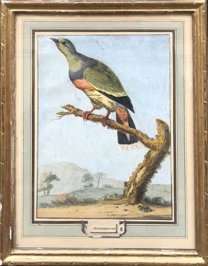 HONDEKOETER Melchior de ( 1636 / 1695 ),...