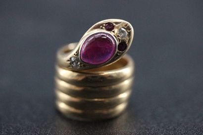 ZOLOTAS In the taste of- Yellow gold snake...