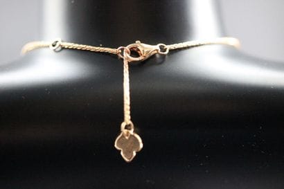 CHAUMET- Necklace with pendant model HORTENSIA...