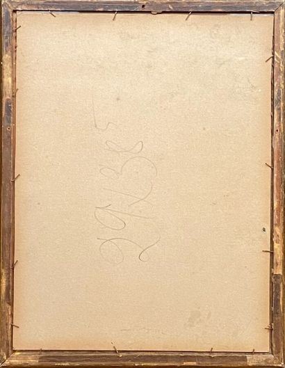 SCHOUMAN Eart ( 1710 / 1792 )
Deux oiseaux.
Aquarelle...