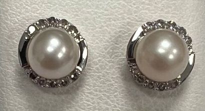 Pair of earrings in white gold 750°/.(18K)...